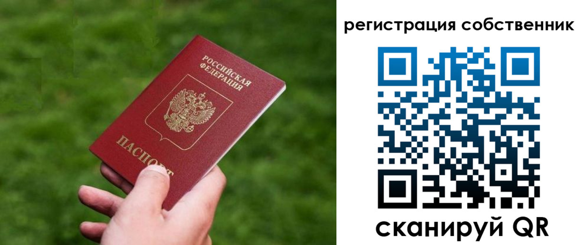 временная регистрация недорого в Заинске